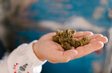 Top 5 des fleurs CBD sans THC efficaces en 2025