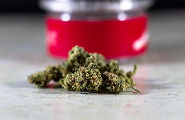 Qualité CBD vs prix bas : Que privilégier en tant que pro ?