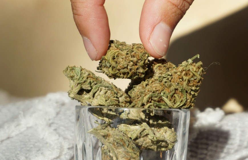 Débuter avec le CBD : Les 5 premières questions à se poser