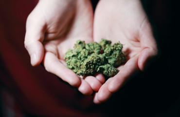 Booster sa vitalité au quotidien grâce au CBD sans THC