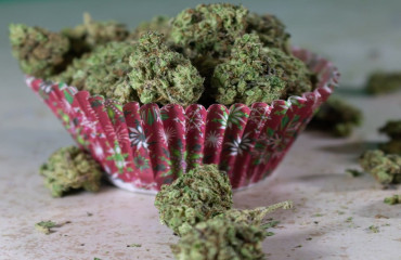 Les résines sans THC, c’est possible ? Comment ?