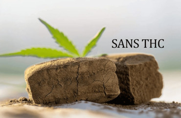 Pourquoi choisir les résines sans THC ? 