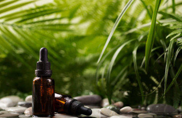 Meilleures Huiles CBD Puissantes 