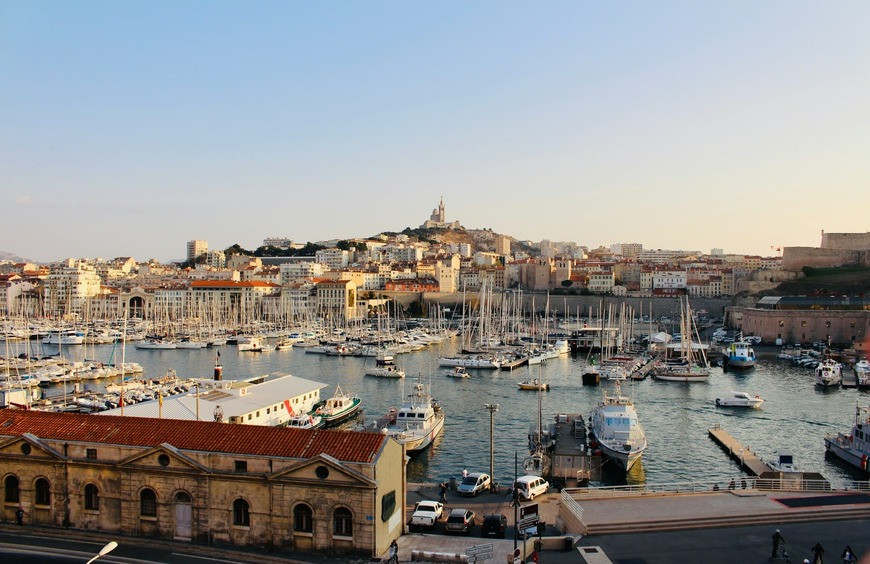Meilleurs grossistes CBD à Marseille