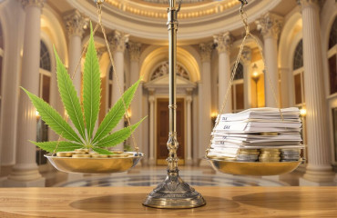 CBD et Projet de Loi de Finances 2026 : La future taxe qui inquiète la filière française
