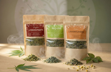 Meilleurs substituts de tabac sans nicotine en 2026