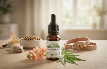 Meilleurs CBD pour animaux en 2026