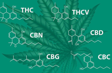 Les molécules CBD : HHC, H4CBD, CBD, CBN, CBG